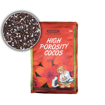 Atami High Porosity Cocos